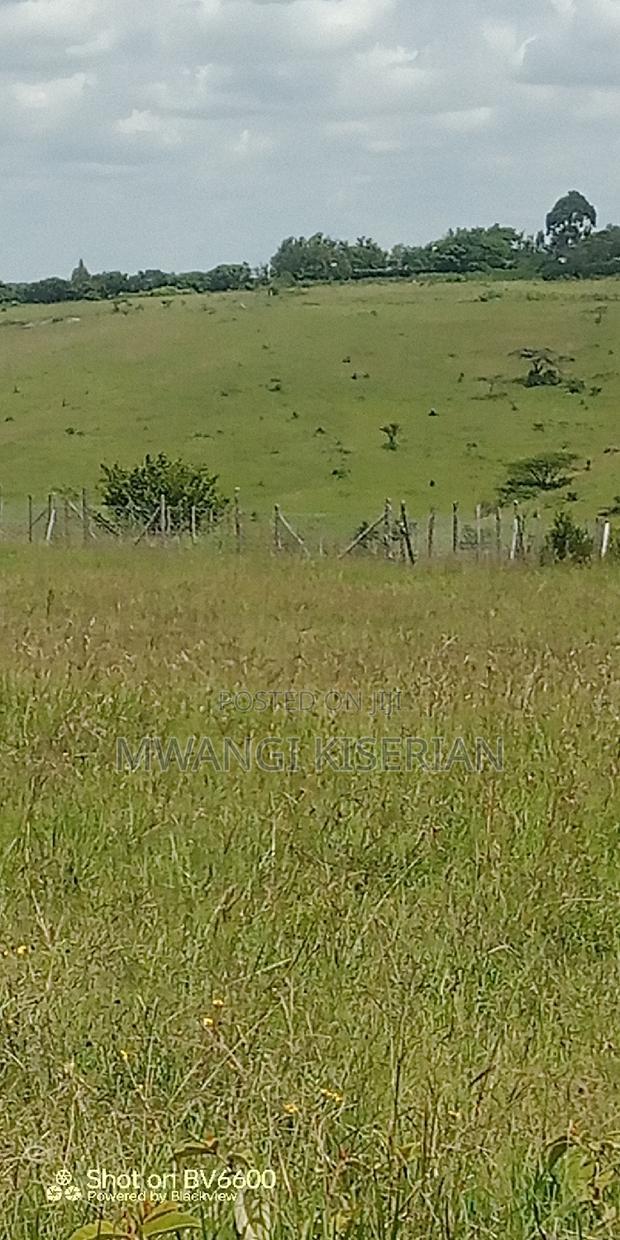 2 Acres on Top of the Mountain