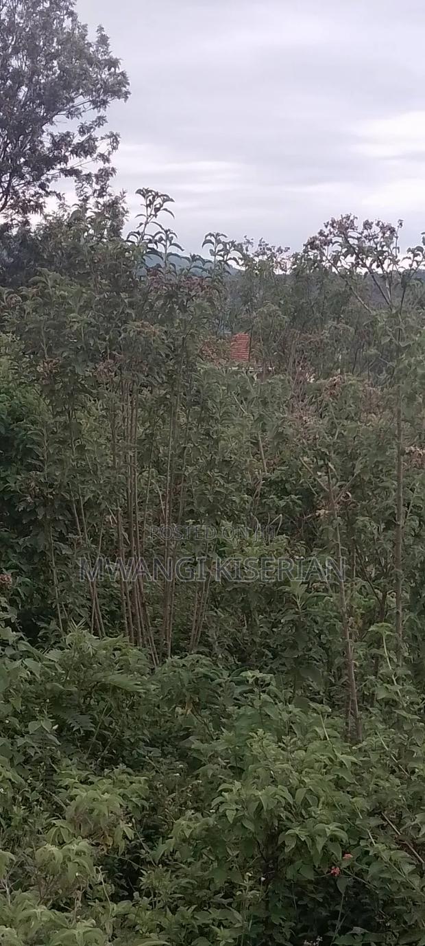 1 Acre in Kiserian Primary