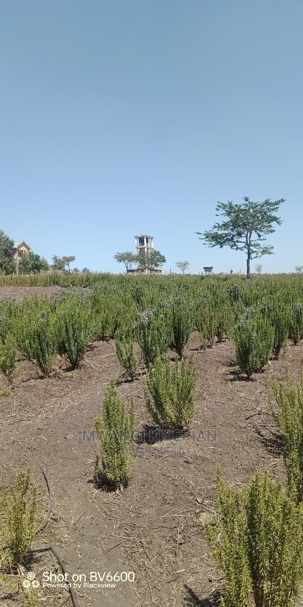 2acres in Kiserian for Quick Sale