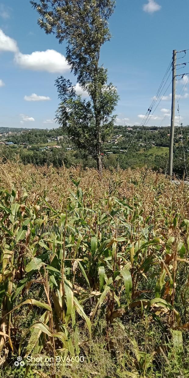 Half an Acre of Land for Sale in Kiserian
