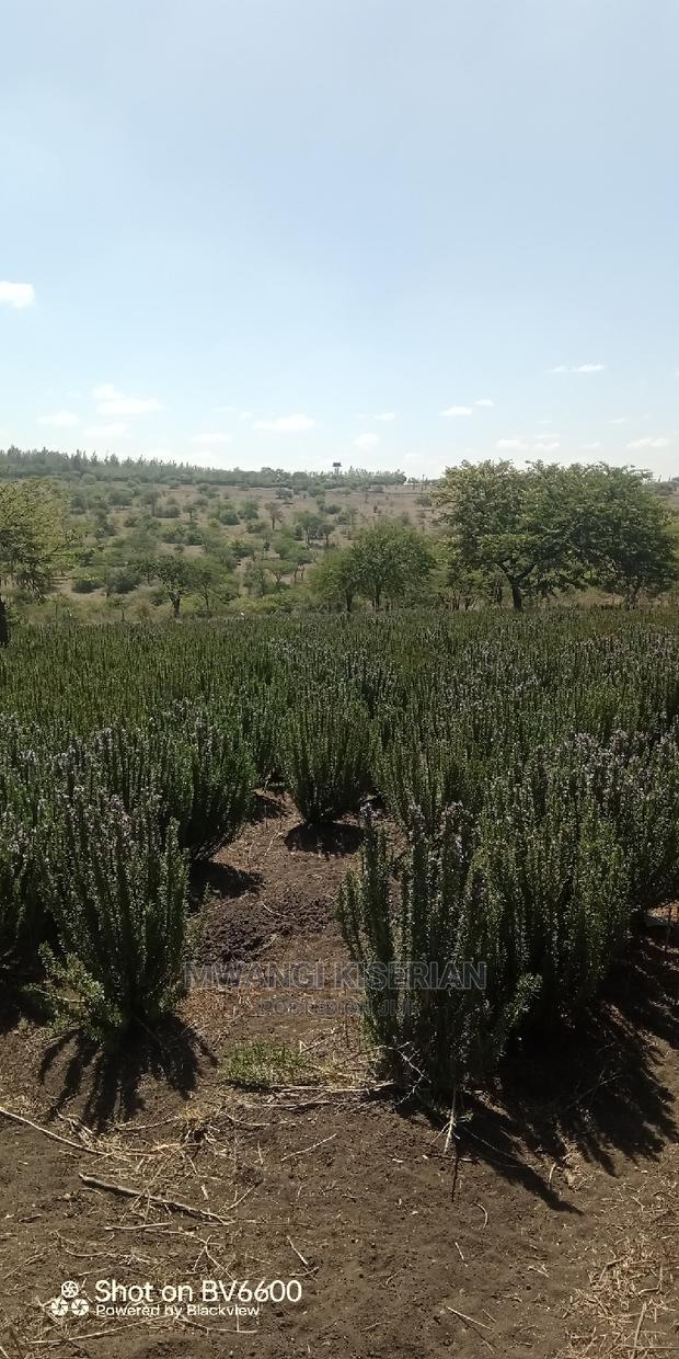 2acres in Kiserian for Quick Sale