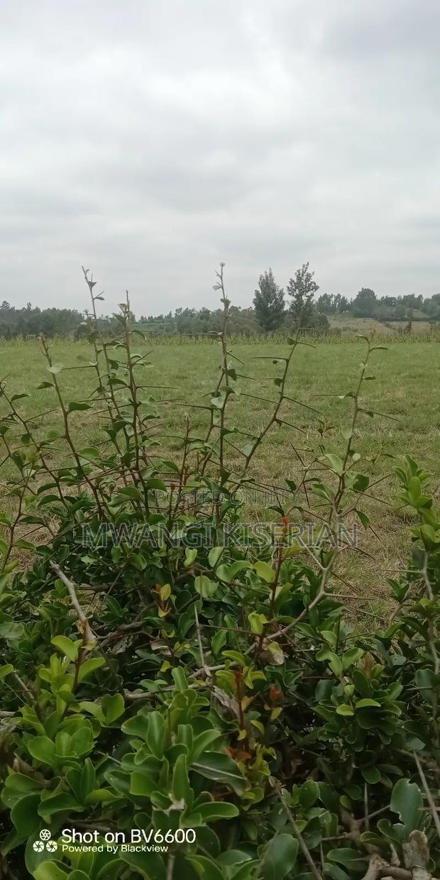 10acres for Sale in Kiserian Farmers