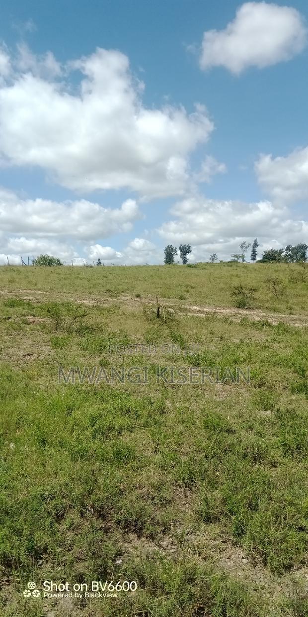 2 Acres on Top of the Mountain