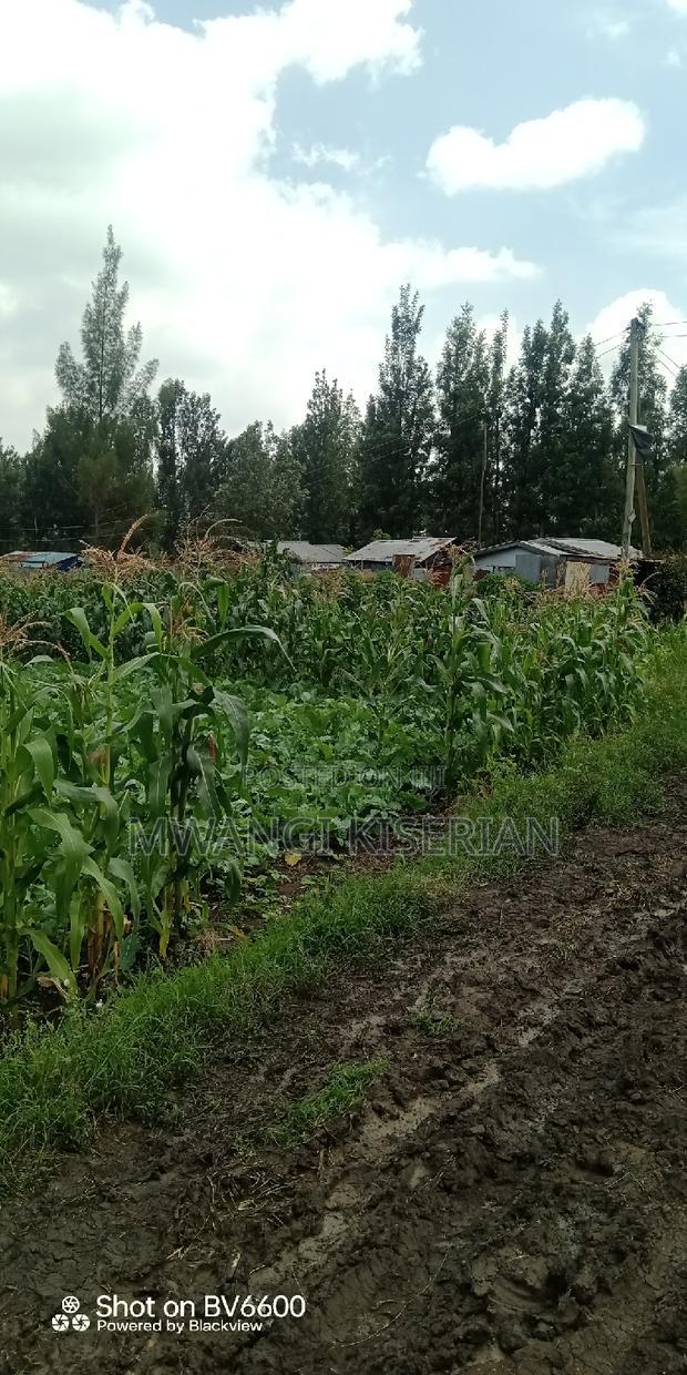 Half an Acre in Kiserian
