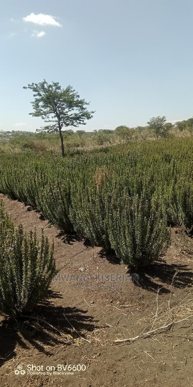 2acres in Kiserian for Quick Sale