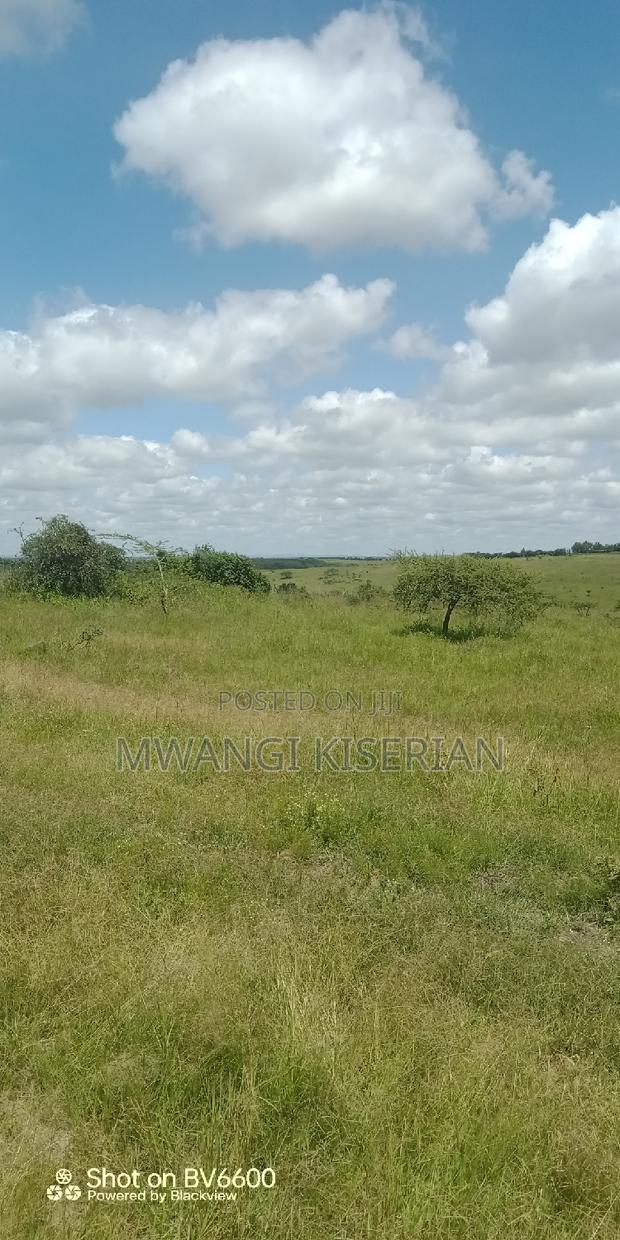 2 Acres on Top of the Mountain