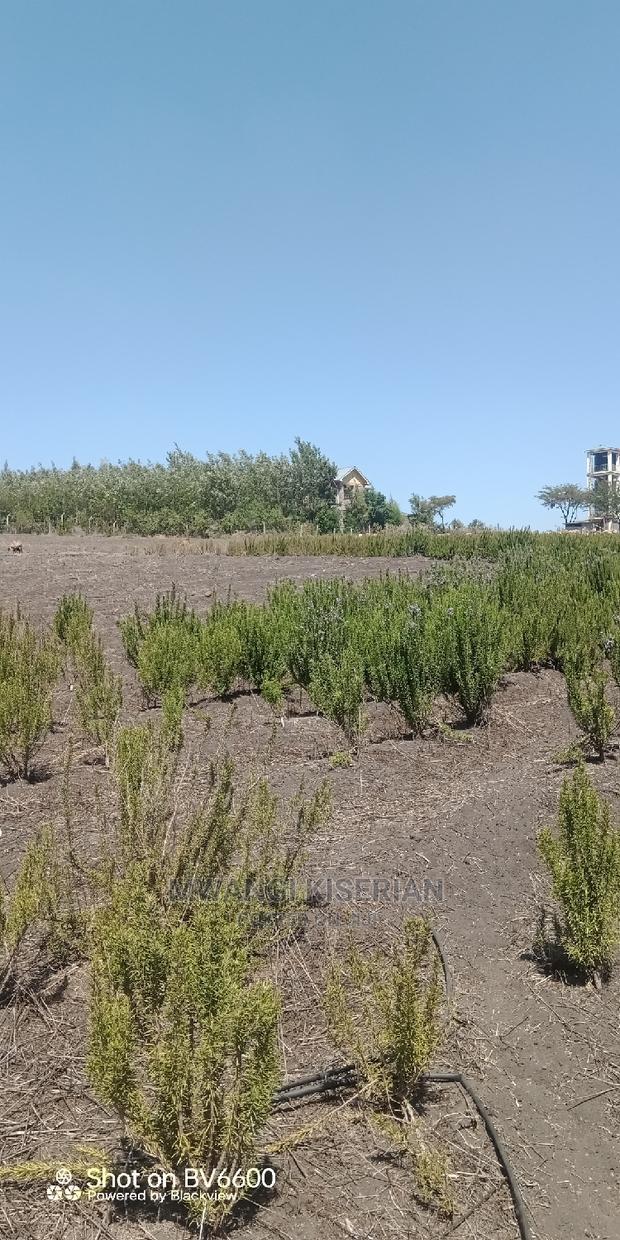 2acres in Kiserian for Quick Sale