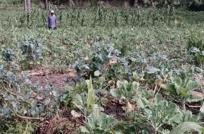 A Full 50by100 for Sale in Kiserian Delta