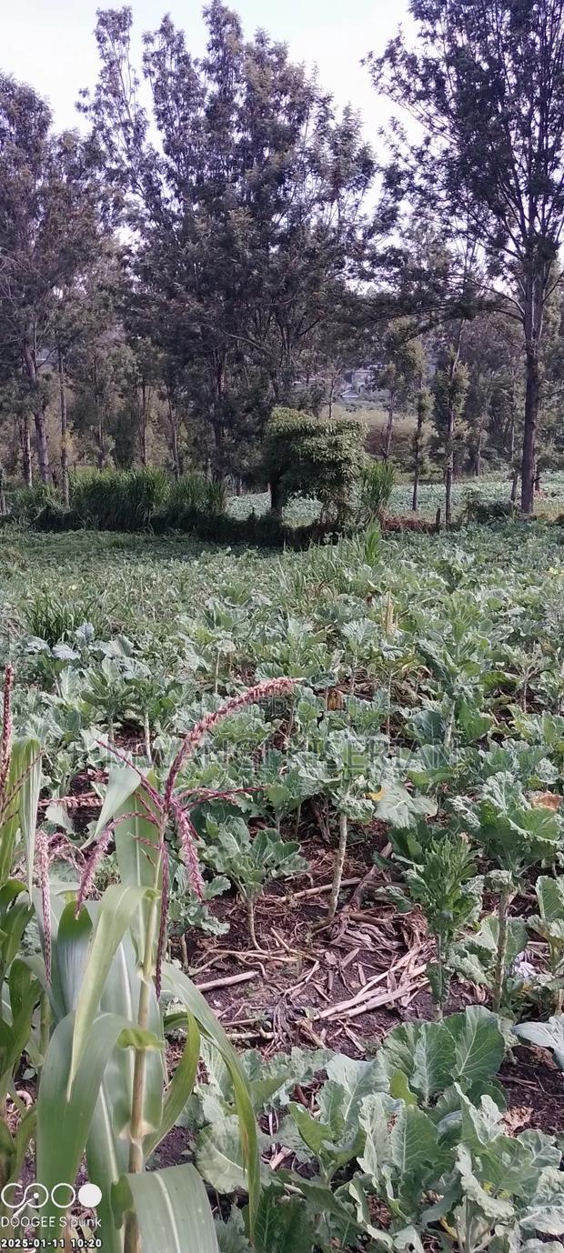 A Full 50by100 for Sale in Kiserian Delta