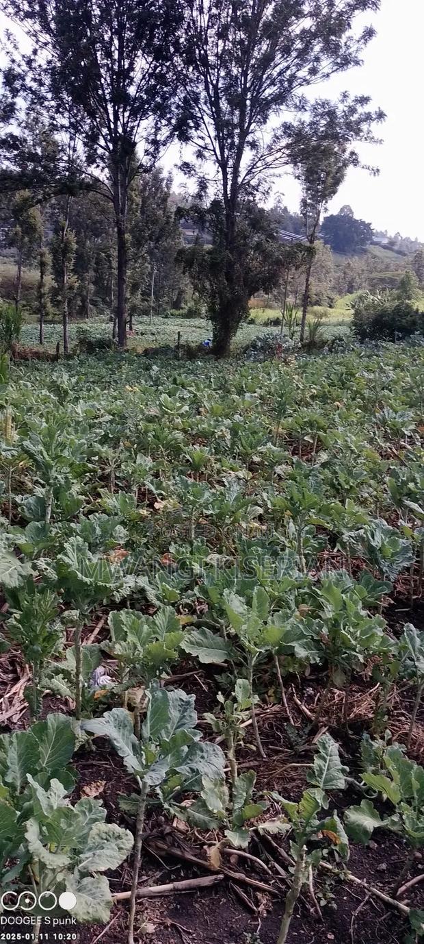A Full 50by100 for Sale in Kiserian Delta