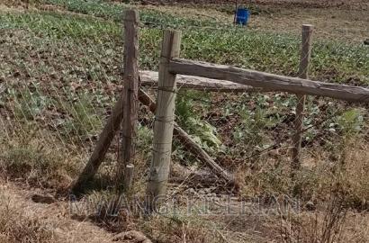 Lands for Sale in Kiserian Farmers,