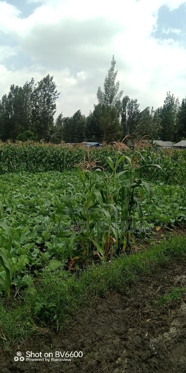Half an Acre in Kiserian