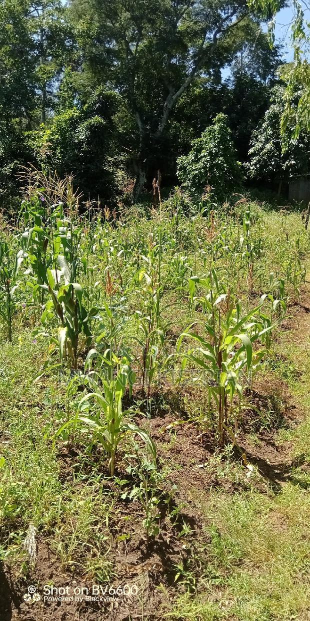1 Acre for Sale in Kiserian