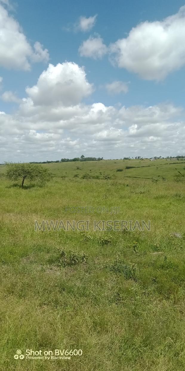 2 Acres on Top of the Mountain