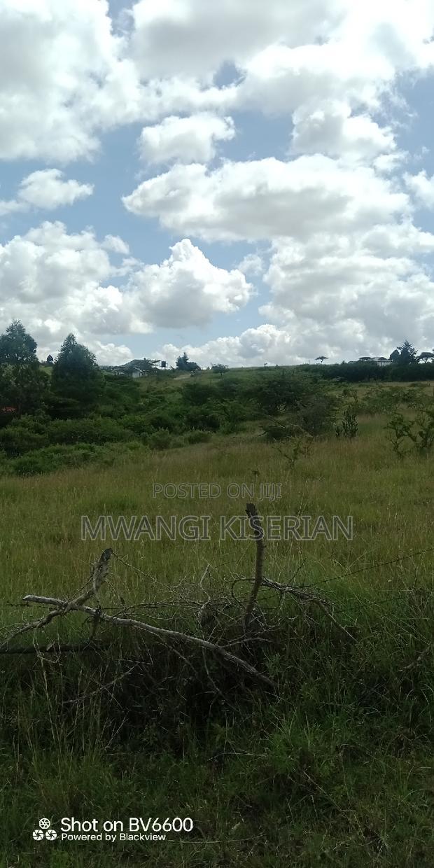 2 Acres on Top of the Mountain