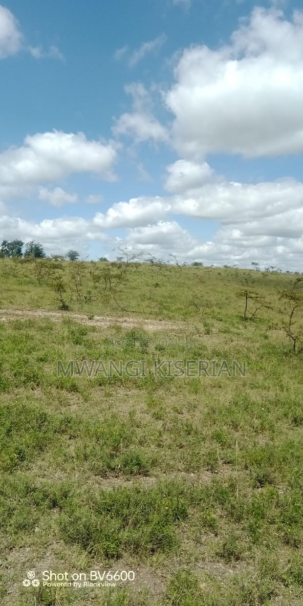 2 Acres on Top of the Mountain