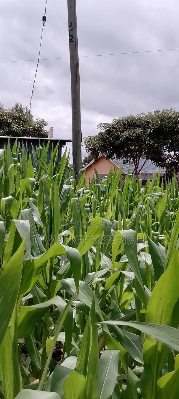 Plot for Sale in Kiserian 300mts From Tarmac