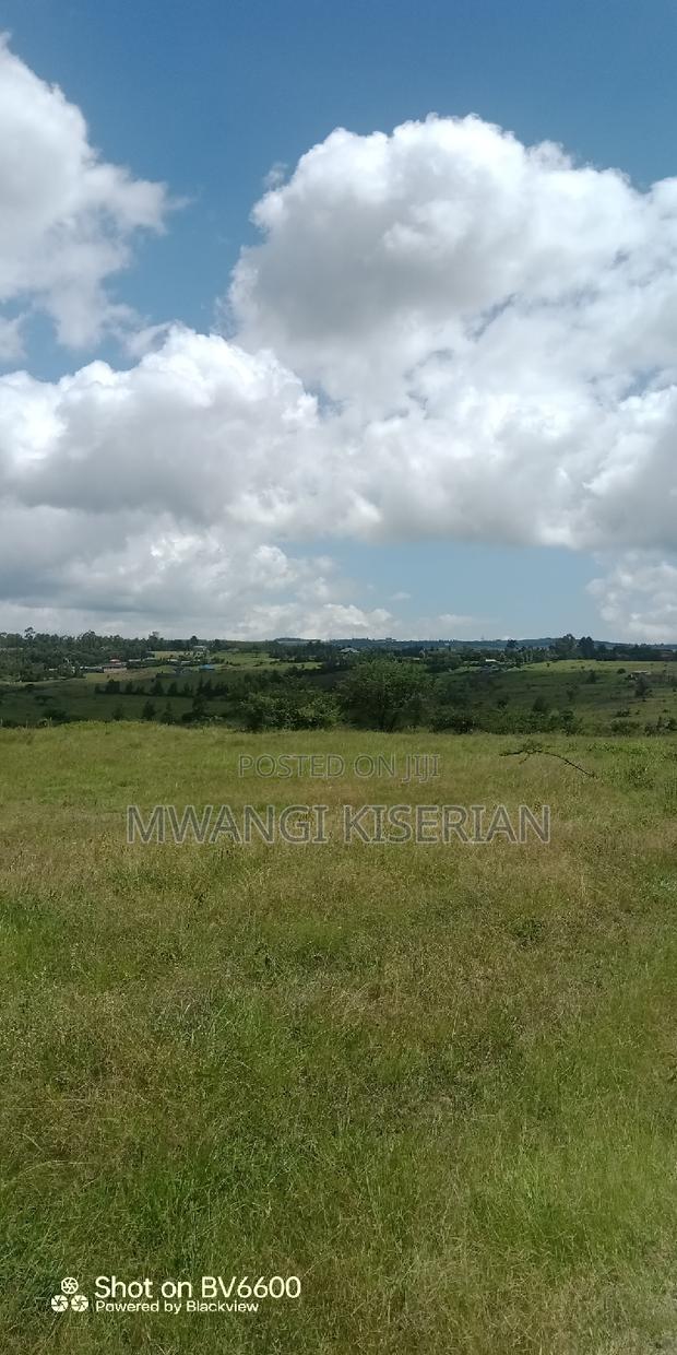 2 Acres on Top of the Mountain
