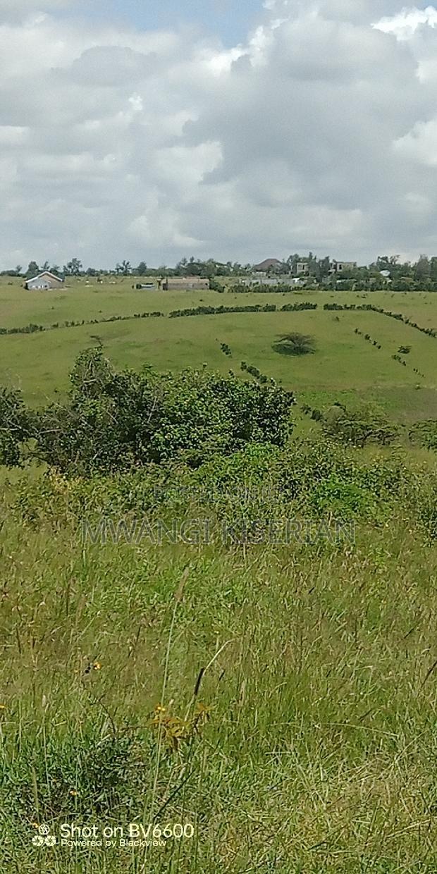 2 Acres on Top of the Mountain