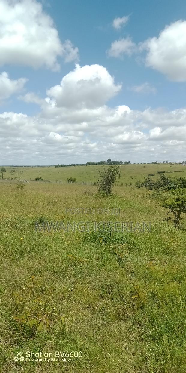 2 Acres on Top of the Mountain