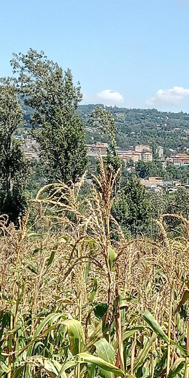 Half an Acre of Land for Sale in Kiserian