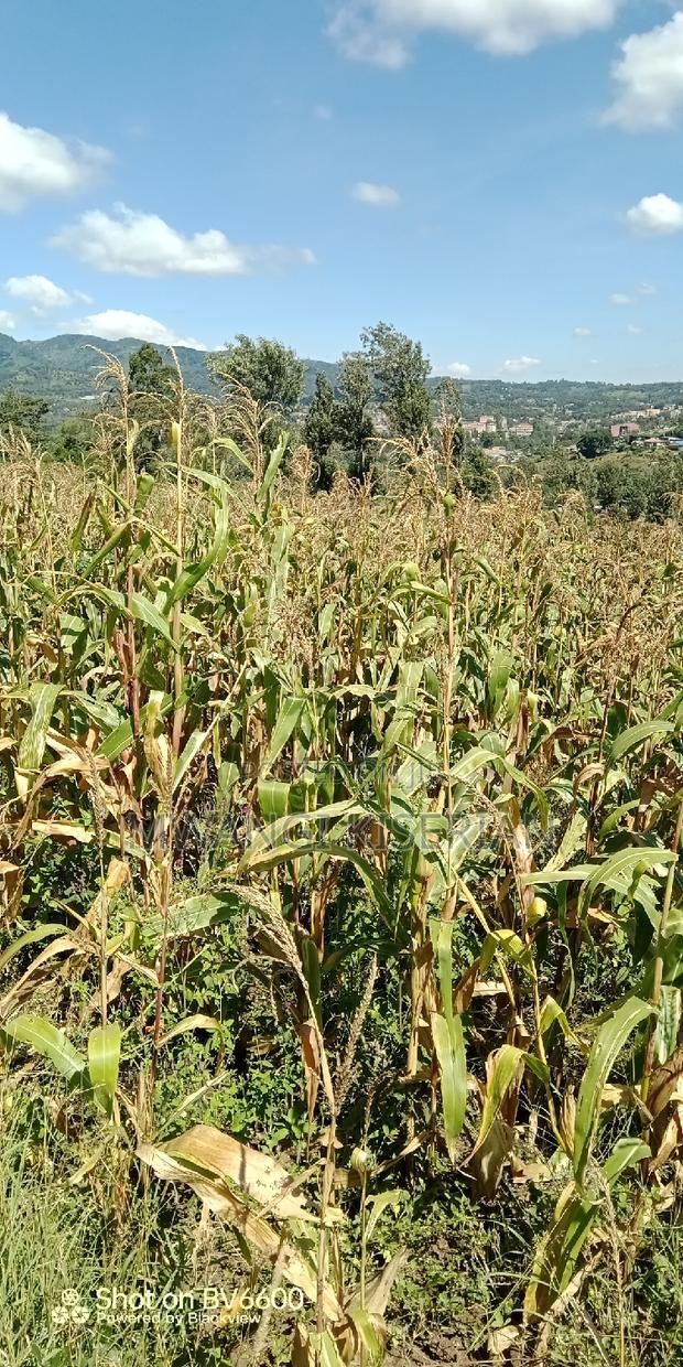 Half an Acre of Land for Sale in Kiserian