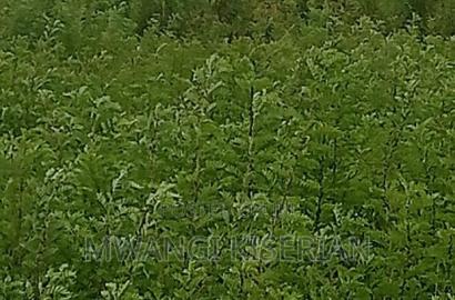 1acre of Land Between Kiserian and Matasia