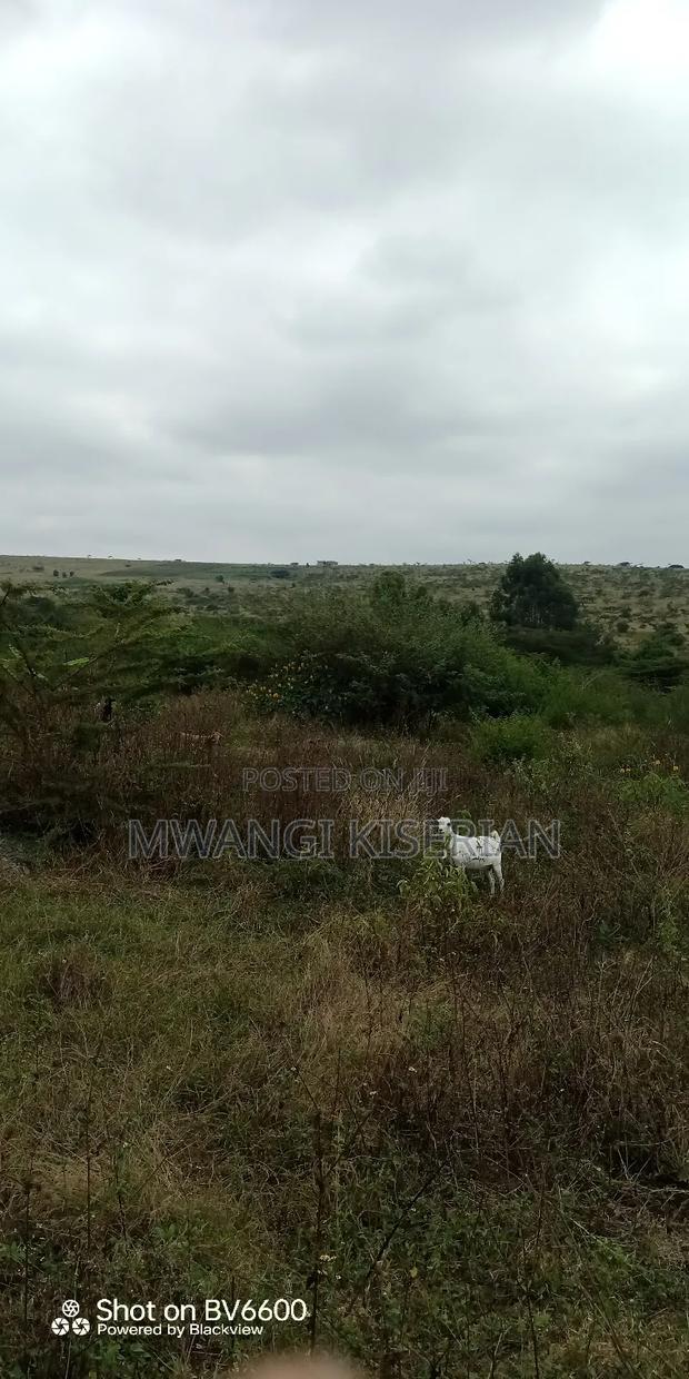 1acer of Land in Kiserian Farmers