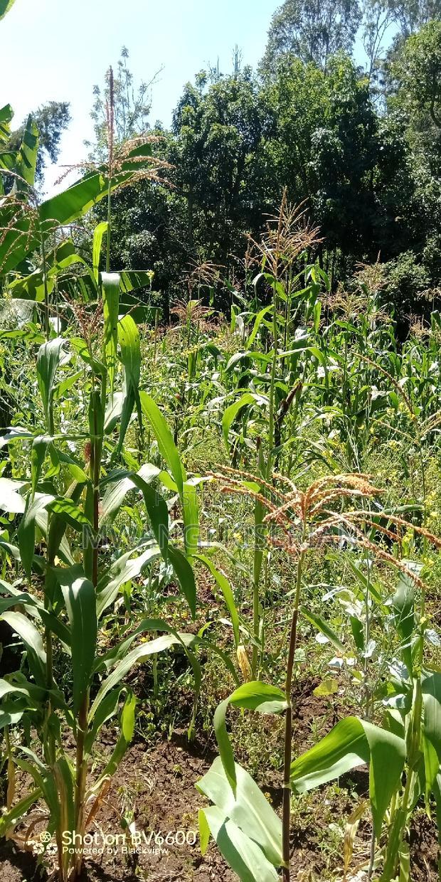 1 Acre for Sale in Kiserian