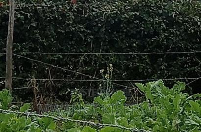 Half an Acre in Kiserian