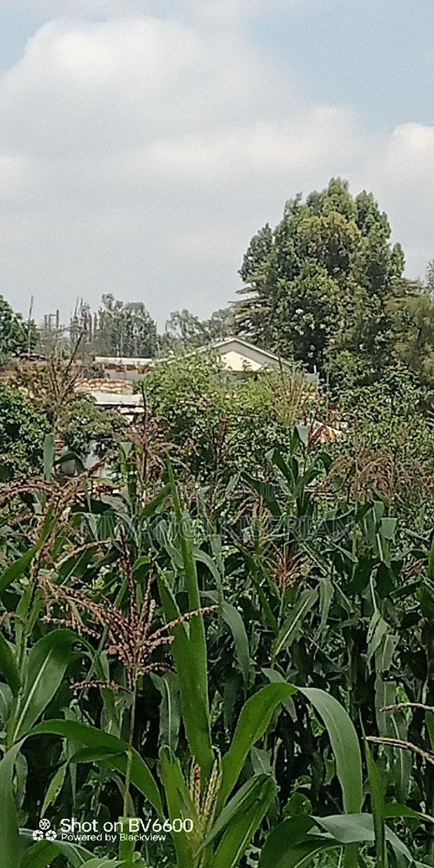 Half an Acre in Kiserian