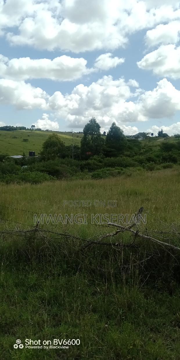 2 Acres on Top of the Mountain