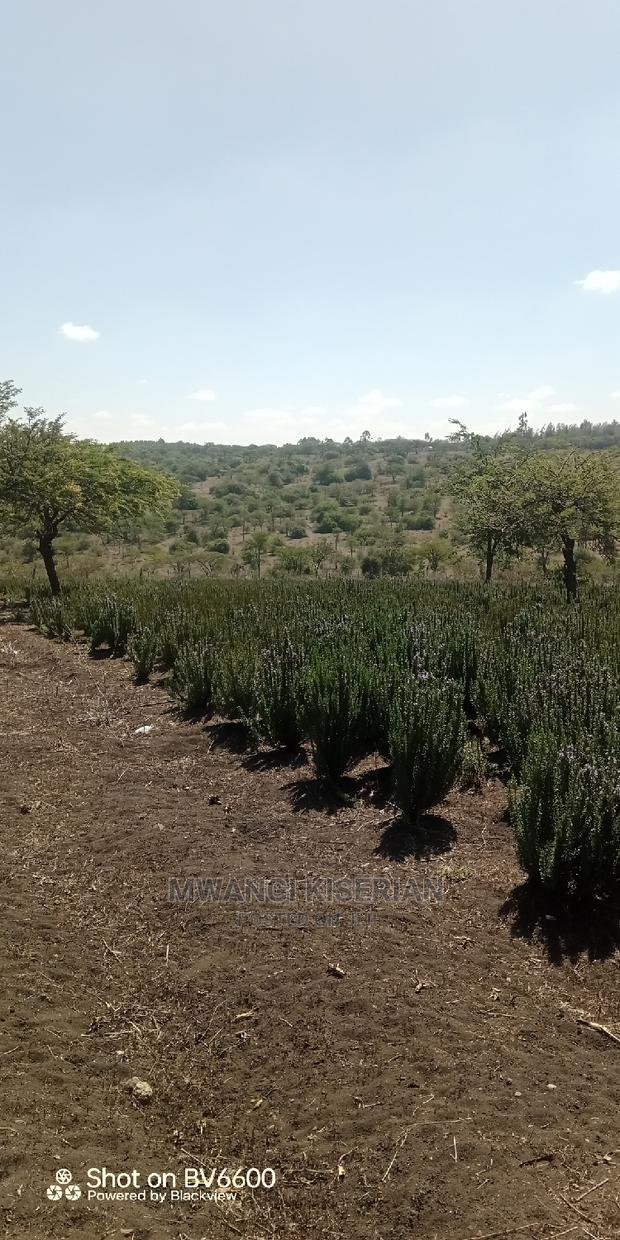 2acres in Kiserian for Quick Sale