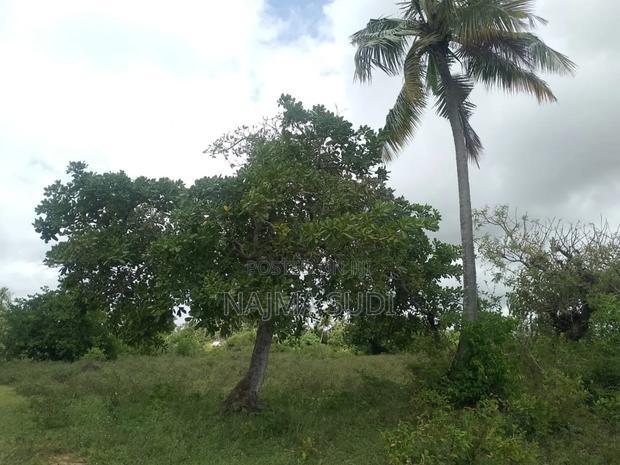 Plot for Sale in Kwale County