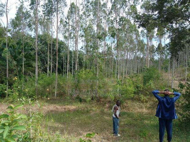 Plot for Sale in Kwale Shimbahills 30 Acres