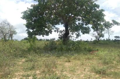 Plot for Sale in Kwale County