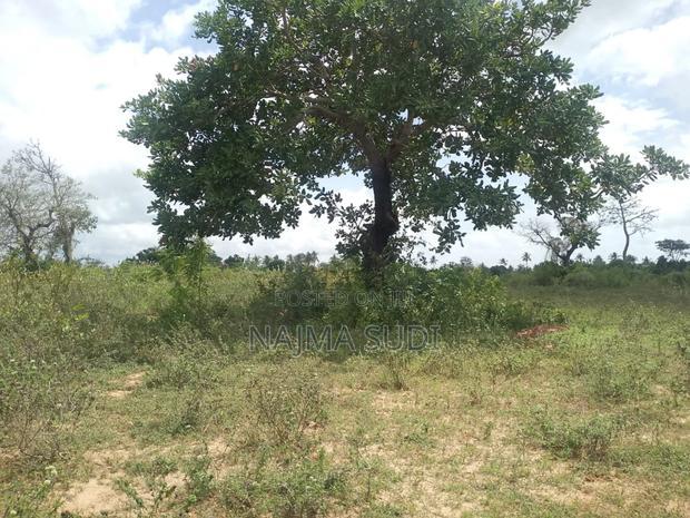 Plot for Sale in Kwale County