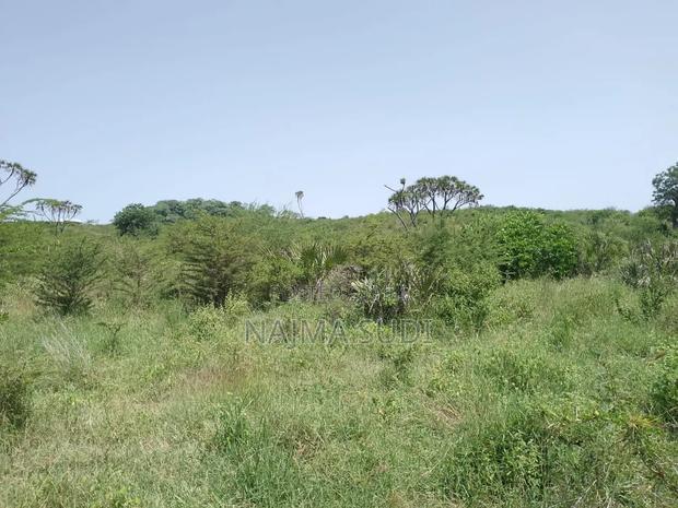 Plot for Sale Dongokundu 22 Acre