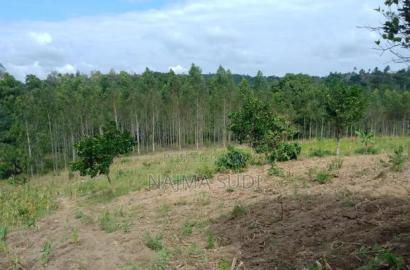 Plot for Sale in Kwale Shimbahills 30 Acres