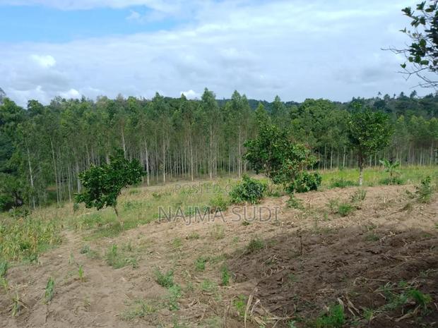 Plot for Sale in Kwale Shimbahills 30 Acres