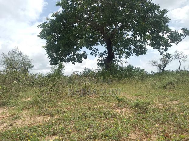 Plot for Sale in Kwale County