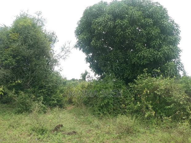 Plot for Sale in Kwale County