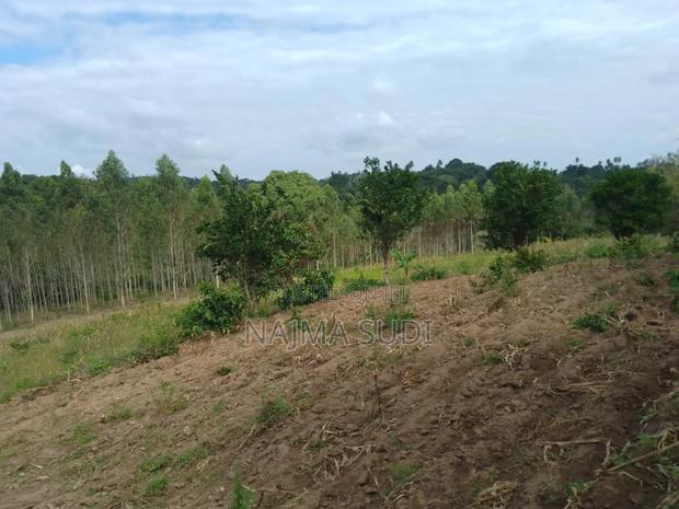 Plot for Sale in Kwale Shimbahills 30 Acres