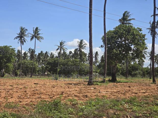 1acre Land for Sale Kilifi Tezo