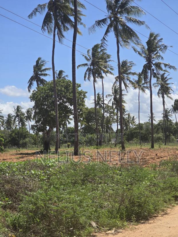1acre Land for Sale Kilifi Tezo