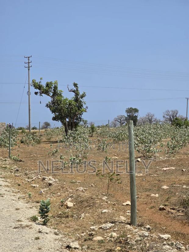Plots Touching Mombasa Malindi Highway Kilifi Mtondia