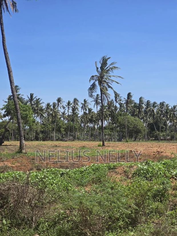 1acre Land for Sale Kilifi Tezo