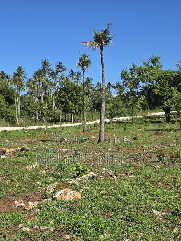 Tezo 1/8 Acres Plots Walking Distance From Highway