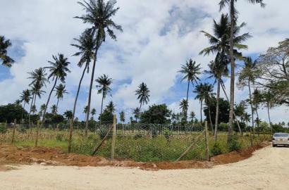 Affordable Plots Kilifi Tezo on Beach Side