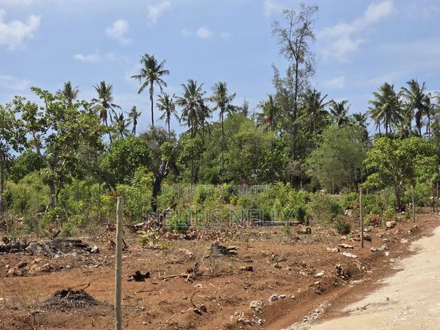100*100 [1/4 Acres] Plots for Sale Kilifi Tezo